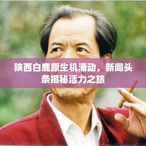 陕西白鹿原生机涌动，新闻头条揭秘活力之旅