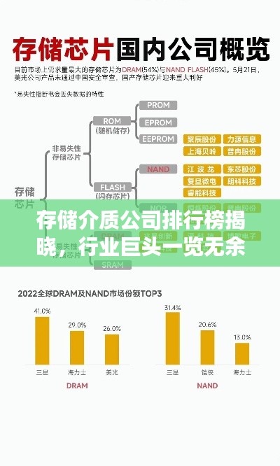 存储介质公司排行榜揭晓，行业巨头一览无余