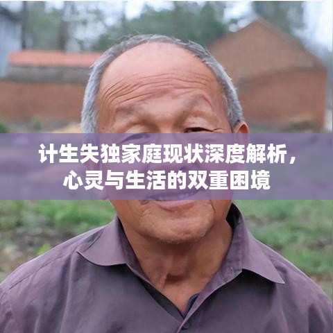 计生失独家庭现状深度解析，心灵与生活的双重困境