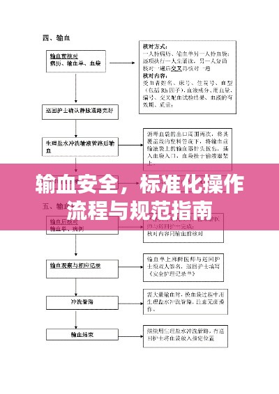 输血安全，标准化操作流程与规范指南