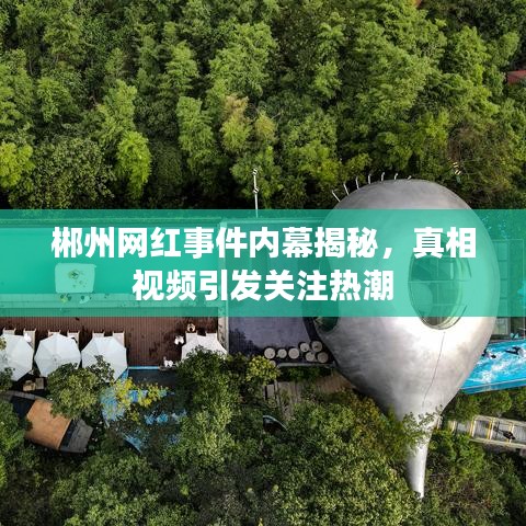 郴州网红事件内幕揭秘，真相视频引发关注热潮