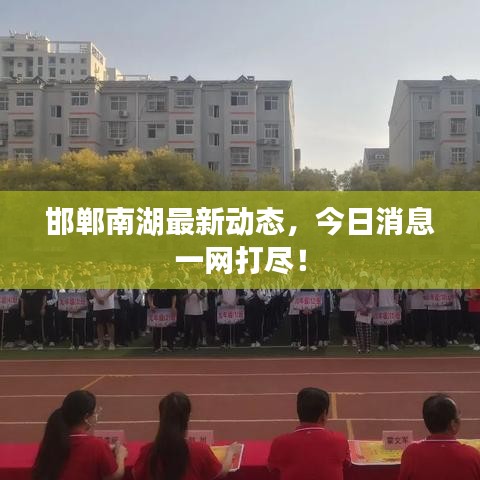 邯郸南湖最新动态，今日消息一网打尽！