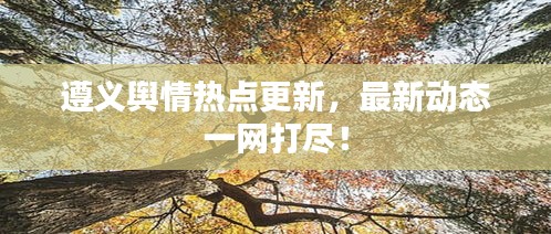 遵义舆情热点更新，最新动态一网打尽！
