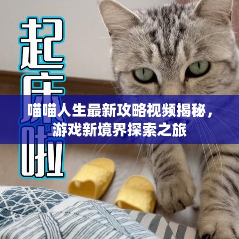 喵喵人生最新攻略视频揭秘，游戏新境界探索之旅