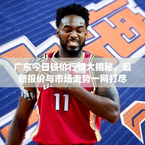 广东今日铁价行情大揭秘，最新报价与市场走势一网打尽