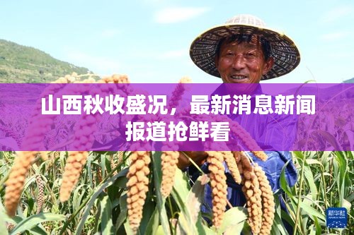 山西秋收盛况，最新消息新闻报道抢鲜看