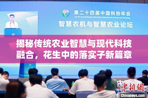 揭秘传统农业智慧与现代科技融合，花生中的落实子新篇章探寻