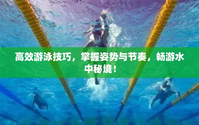 高效游泳技巧，掌握姿势与节奏，畅游水中秘境！
