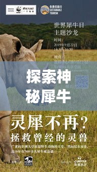 探索神秘犀牛世界，独特魅力的动物之旅