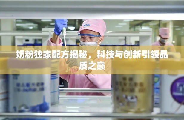 奶粉独家配方揭秘，科技与创新引领品质之巅
