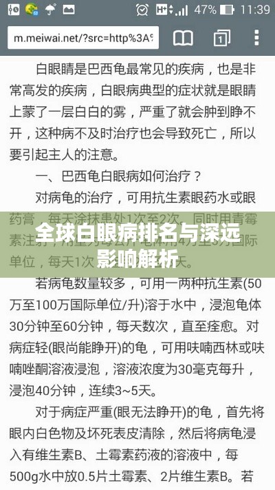 全球白眼病排名与深远影响解析