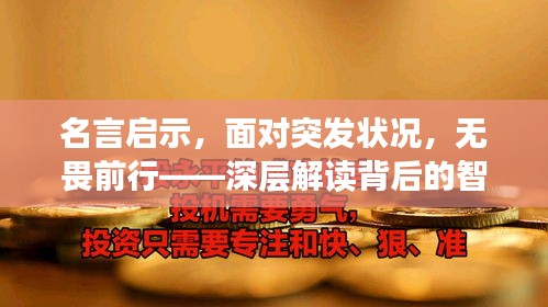 名言启示，面对突发状况，无畏前行——深层解读背后的智慧与勇气