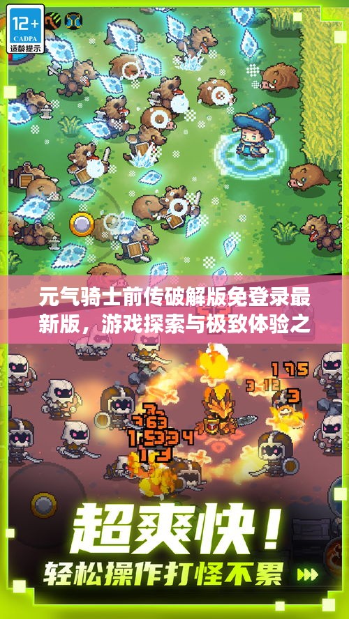 元气骑士前传破解版免登录最新版，游戏探索与极致体验之旅