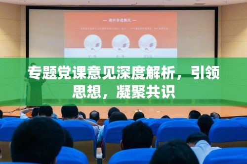 专题党课意见深度解析，引领思想，凝聚共识