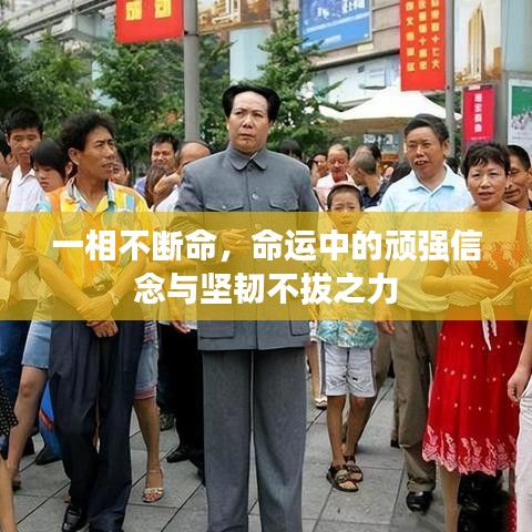一相不断命，命运中的顽强信念与坚韧不拔之力