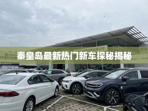 秦皇岛最新热门新车探秘揭秘