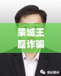 蒙城王磊诈骗案深度揭秘，最新简历与事件全貌曝光