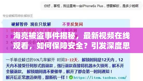 海亮被盗事件揭秘，最新视频在线观看，如何保障安全？引发深度思考！