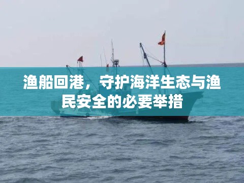 渔船回港，守护海洋生态与渔民安全的必要举措