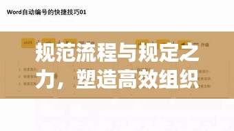 规范流程与规定之力，塑造高效组织与卓越管理的关键