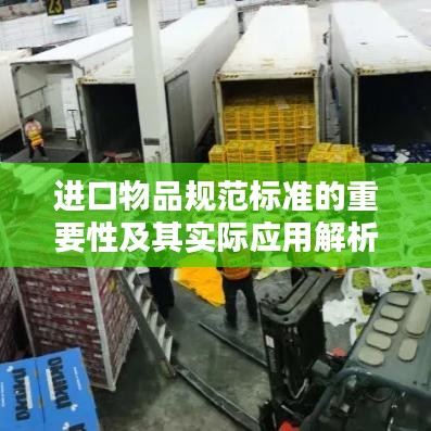 进口物品规范标准的重要性及其实际应用解析