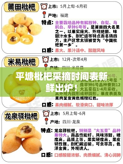 平塘枇杷采摘时间表新鲜出炉！