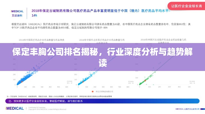 保定丰胸公司排名揭秘，行业深度分析与趋势解读