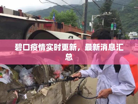 碧口疫情实时更新，最新消息汇总