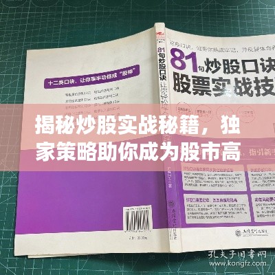 揭秘炒股实战秘籍，独家策略助你成为股市高手