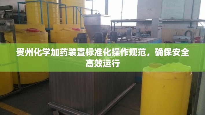 贵州化学加药装置标准化操作规范，确保安全高效运行