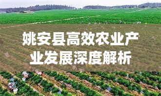 姚安县高效农业产业发展深度解析