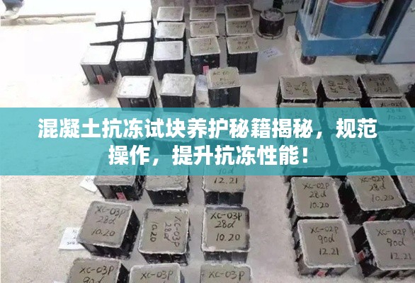 混凝土抗冻试块养护秘籍揭秘，规范操作，提升抗冻性能！