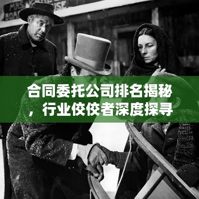 合同委托公司排名揭秘，行业佼佼者深度探寻