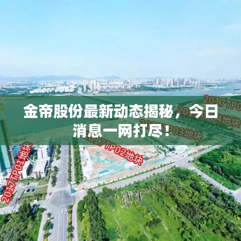 金帝股份最新动态揭秘，今日消息一网打尽！