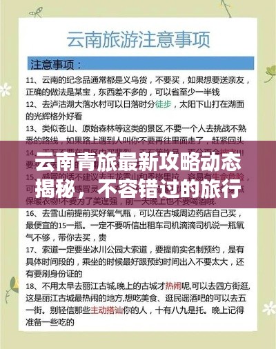 云南青旅最新攻略动态揭秘，不容错过的旅行指南！