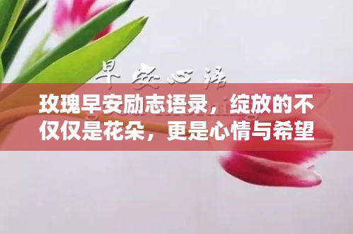 玫瑰早安励志语录，绽放的不仅仅是花朵，更是心情与希望