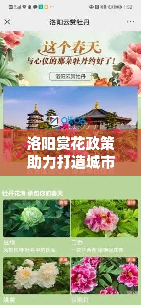 洛阳赏花政策助力打造城市名片，共筑美好春天赏花盛宴