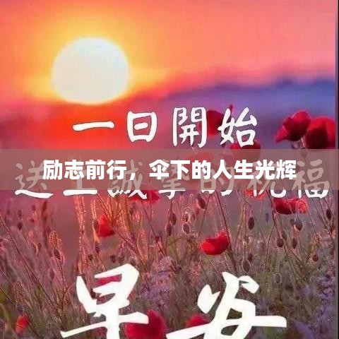励志前行，伞下的人生光辉