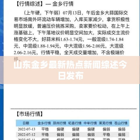 山东金乡最新热点新闻综述今日发布