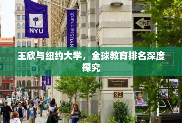 王欣与纽约大学，全球教育排名深度探究