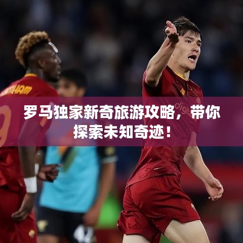 罗马独家新奇旅游攻略，带你探索未知奇迹！