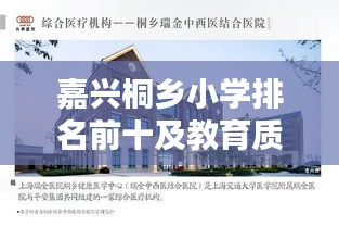 嘉兴桐乡小学排名前十及教育质量深度解析
