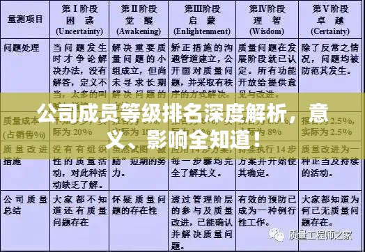 公司成员等级排名深度解析，意义、影响全知道！