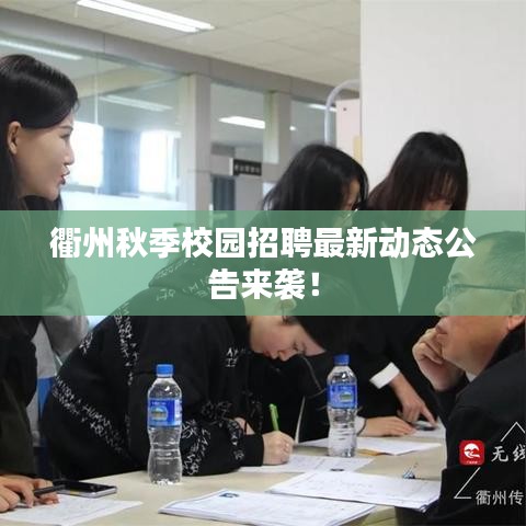 衢州秋季校园招聘最新动态公告来袭！