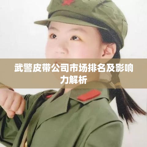 武警皮带公司市场排名及影响力解析