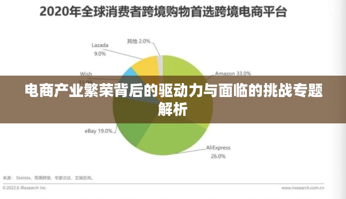 电商产业繁荣背后的驱动力与面临的挑战专题解析