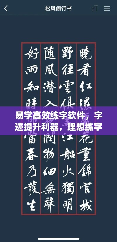 易学高效练字软件，字迹提升利器，理想练字选择！