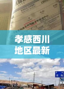 孝感西川地区最新新闻热点速递