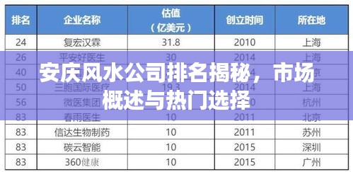 安庆风水公司排名揭秘，市场概述与热门选择