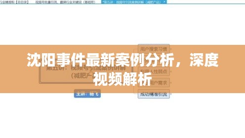 沈阳事件最新案例分析，深度视频解析